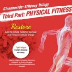 American Ginseng Tablet 500mg - Image 3